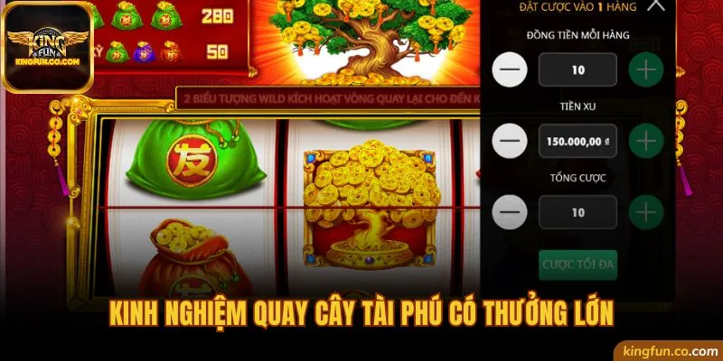 Kinh nghiệm quay Cây tài phú có thưởng lớn